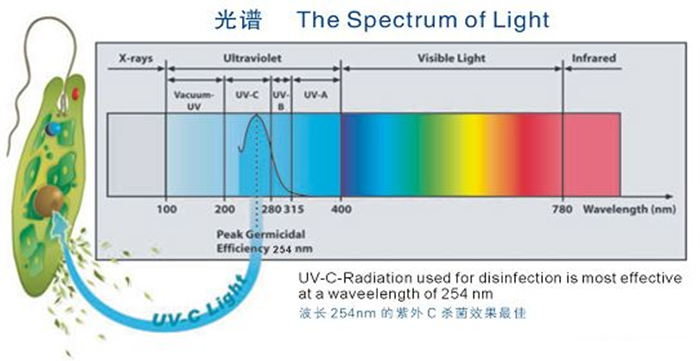 科普！紫外線殺菌燈對(duì)人體影響及正確使用方法